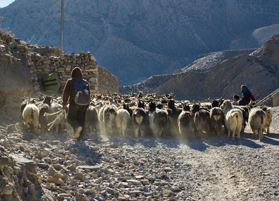 Annapurna Treck - over the pass