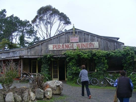 Purangi Winery - Best Pizza's!