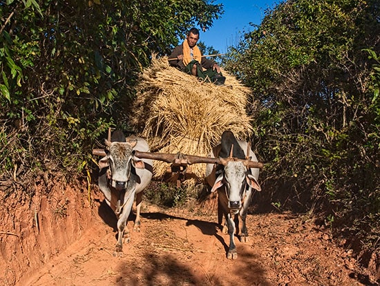 Myanmar