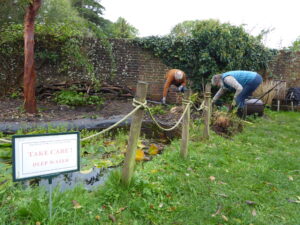 Working on the pond
