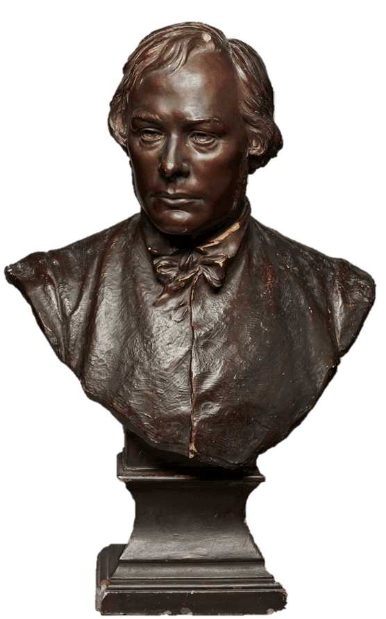 Bust
