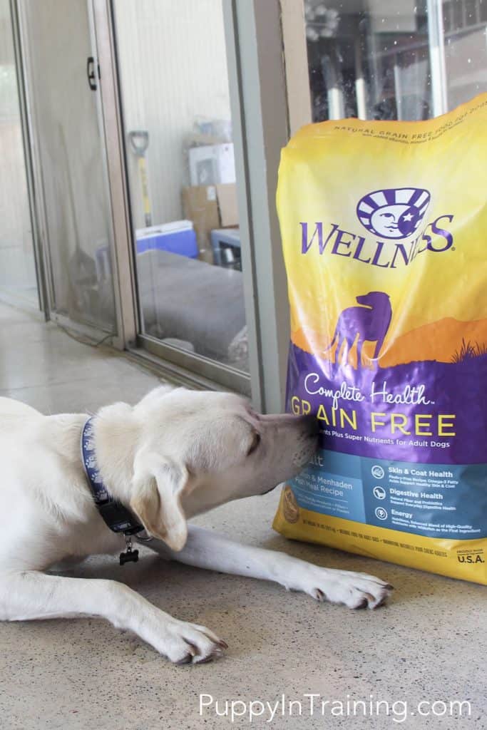 New Wellness Complete Health Line Dog Food