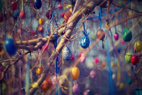 Easter Eggs tied in Tree with ribbons