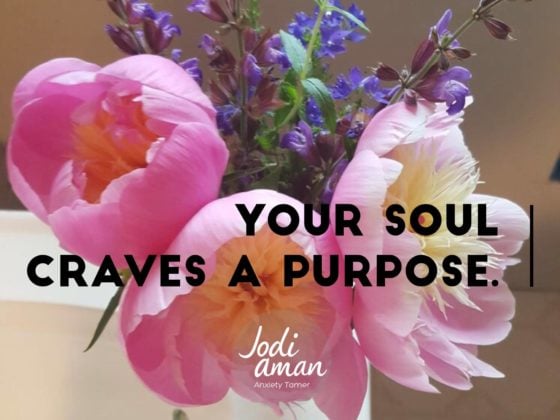 seeing the divinity your soul craves a purpose