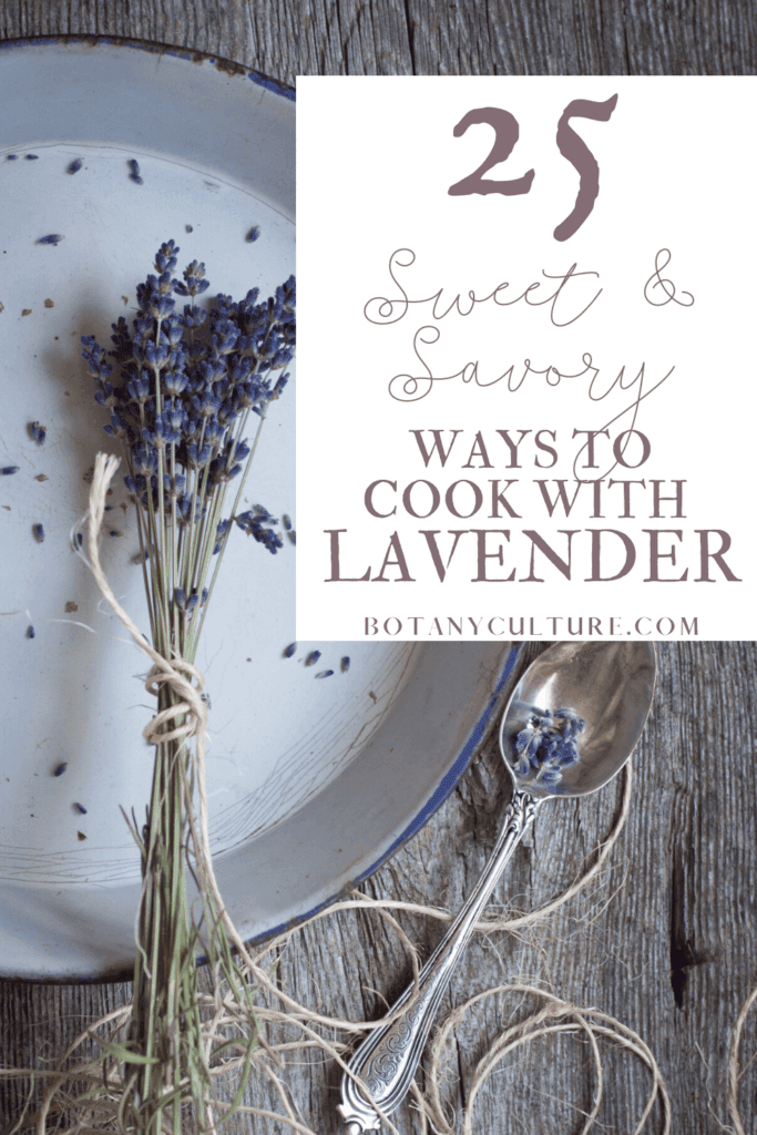 5 Ways to Cook With Fresh Lavender - Farm Flavor