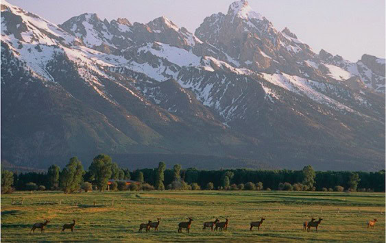 Jackson Hole Land Trust