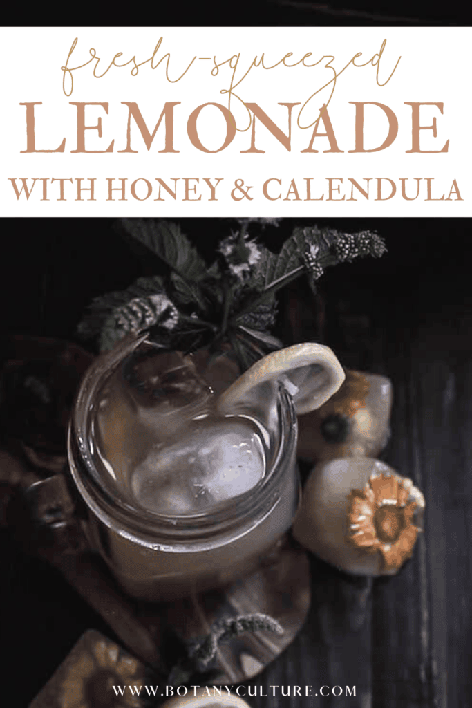 glass of fresh-squeezed lemonade with calendula, fresh mint, and calendula flower ice cubes