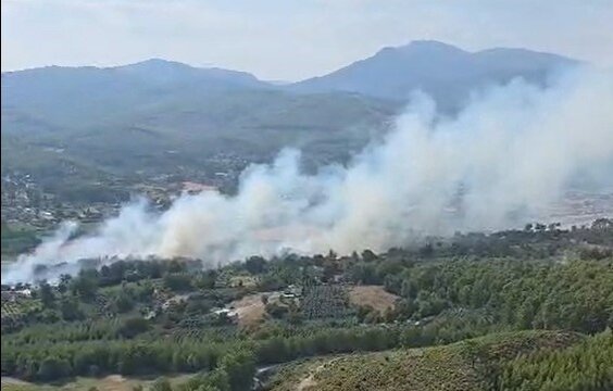 MUĞLA'NIN SEYDİKEMER İLÇESİNDE ÇIKAN ORMAN YANGININDA EKİPLER ALEVLERİ KONTROL ALTINA ALABİLMEK İÇİN HAVADAN VE KARADAN MÜDAHALE EDİYOR.