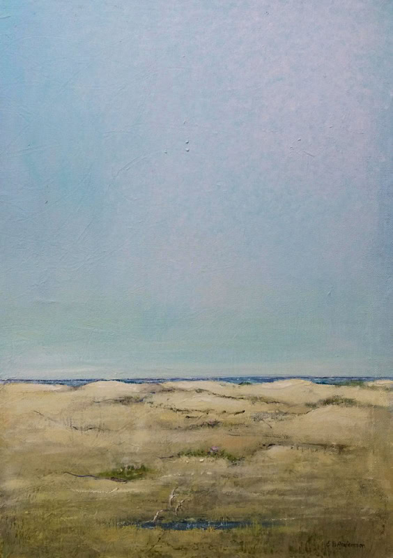 Ewa-Britt Andersson - Ljuset över heden