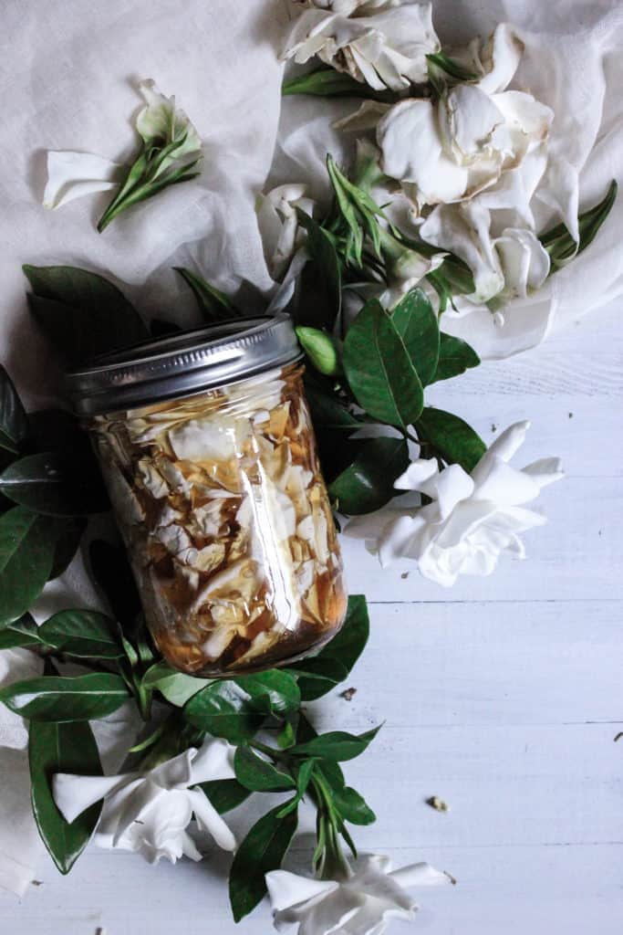 fresh gardenia flower infused honey in a mason jar