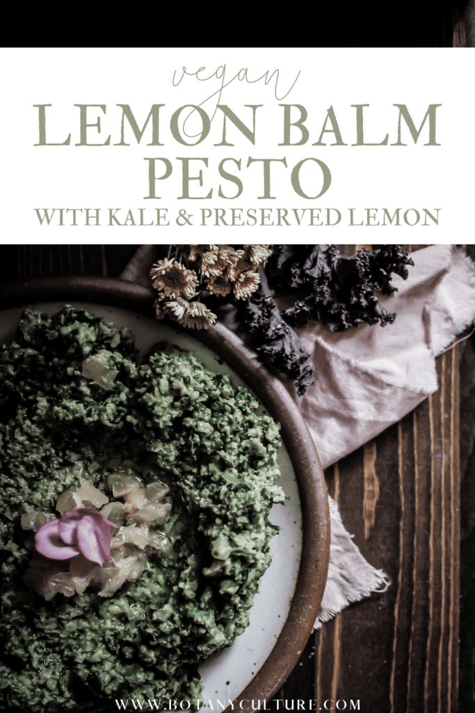 how to make healthy vegan lemon balm pesto with kale and preserved lemon