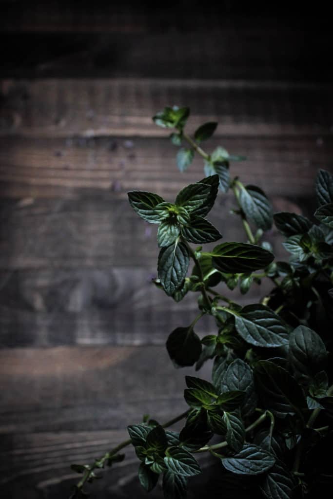mint 101 (the food & medicine of mint)