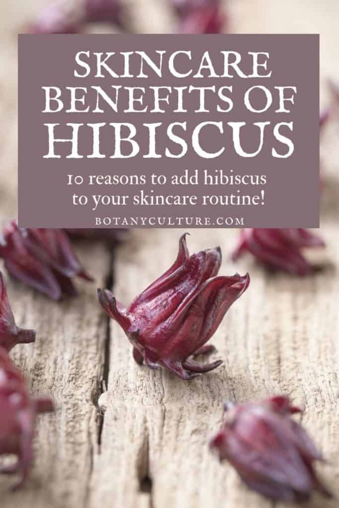 is hibiscus good for your skin? Yes! Here's 10 skin benefits of hibiscus.