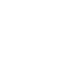 Twitter Icon