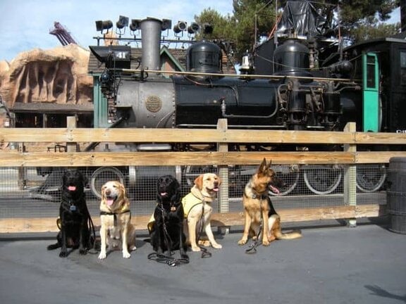 Pups at Knott's Berry Farm in front of the train