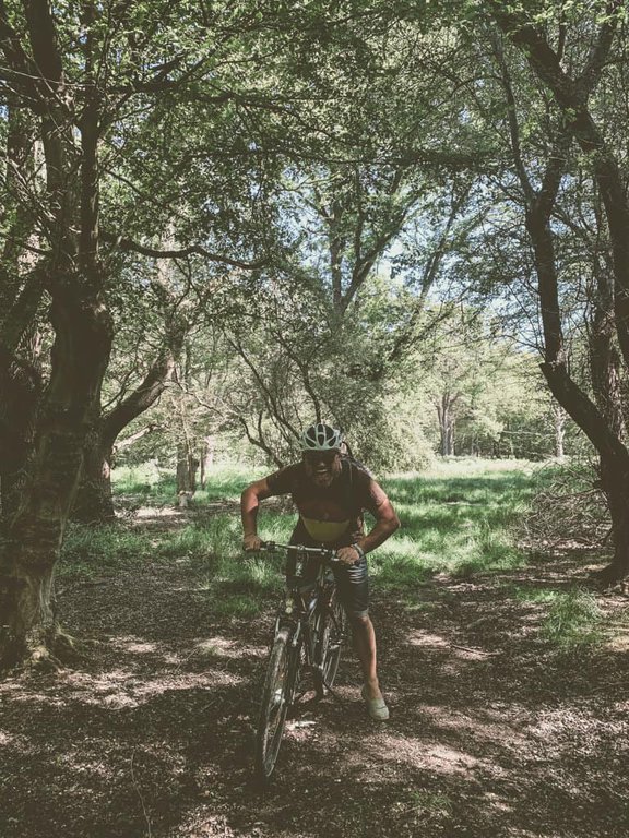 Cycling in Epping Forest