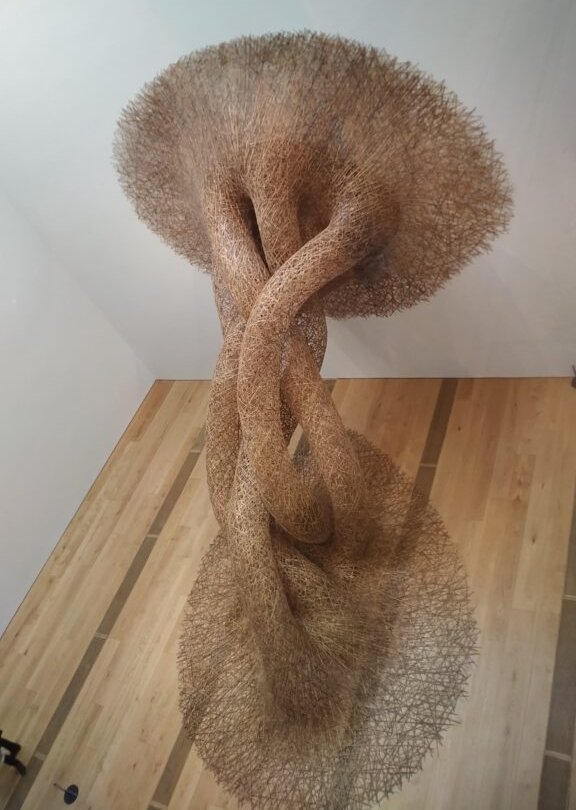 Odunpazarı Modern Müze bambu