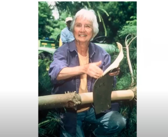 Dorothy Gill Barnes