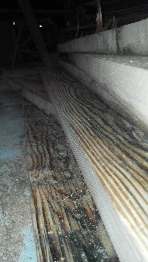 you can see there are still areas where the grease is penetrating, I think it's kind of a cool effect so I decided to leave it there... for now.