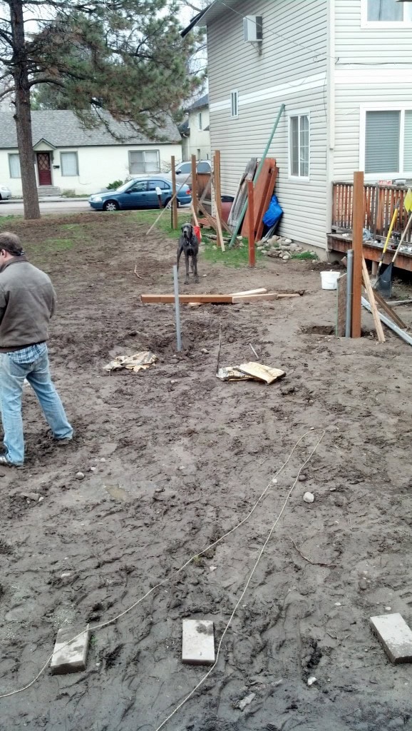 You can see D in the background 'helping', and barking at passer-bys