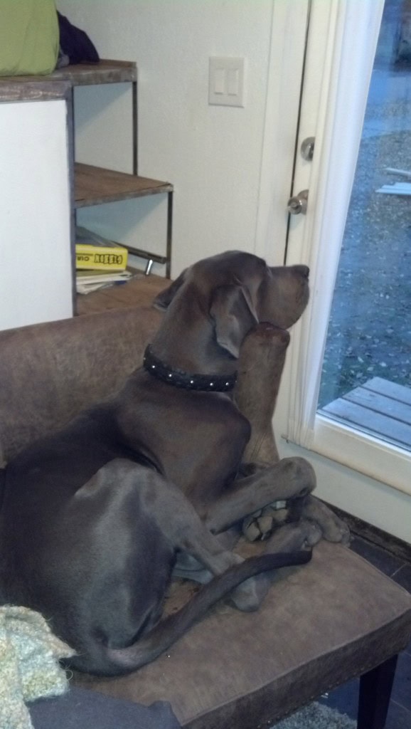 He has the perfect view to sit and watch the passerbys