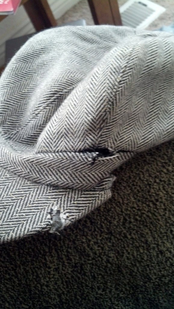 And here is the hat... bad dog!