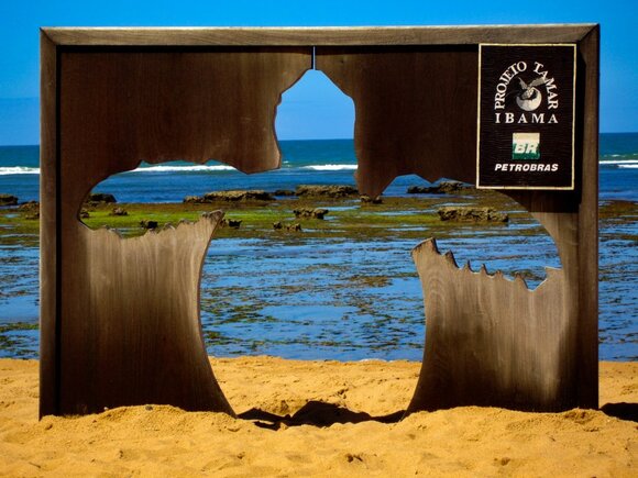 Proyecto Tamar, Praia do Forte, Bahia, Brazil