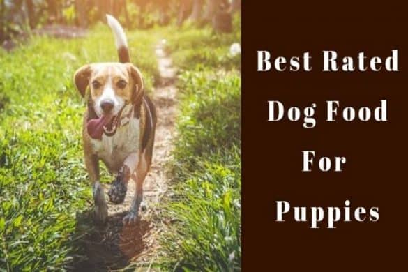 best rated dog food for puppies