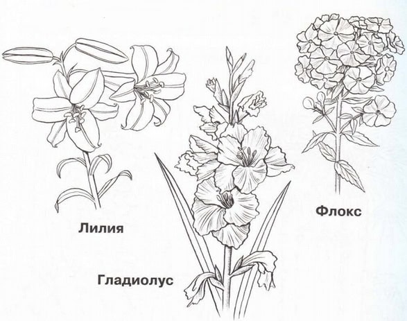 gdz-po-okrugauchemu-miru-str-15-3
