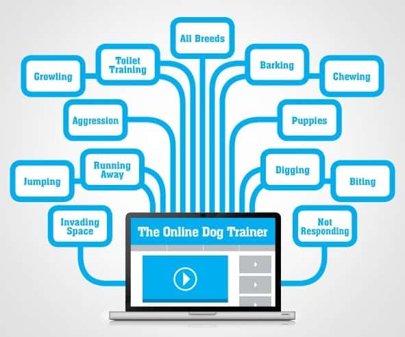 A mindmap of the course content, all in blue