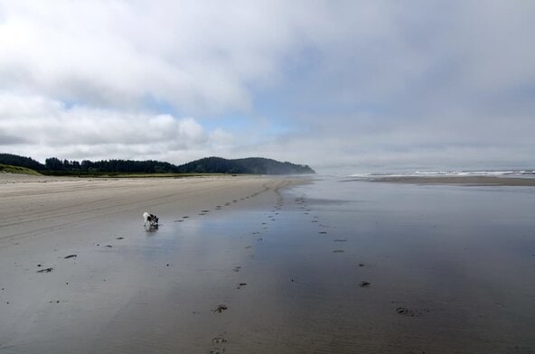 long beach best place to retire in washington