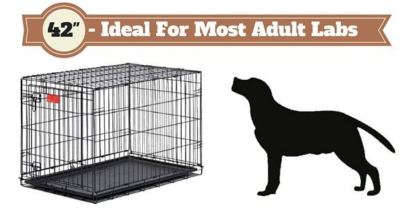 42 inch dog crate next to a labrador silhouette on white background