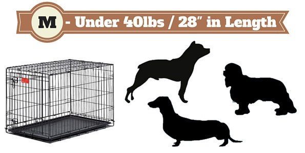 Silhouette of 3 dogs next to a medium size dog crate on white bg