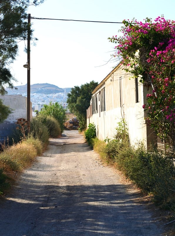 mud road leading to open grounds lined with beige houses and pink flowers at Perissa