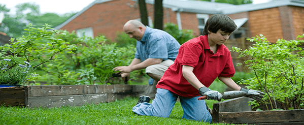 A father and a boy taking care the garden.