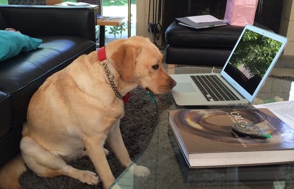 Adelle and the Trackpad