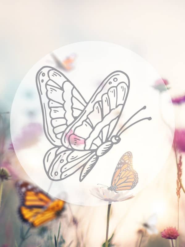 The Spiritual Meaning Of Small Butterflies (All Colors Explained ...