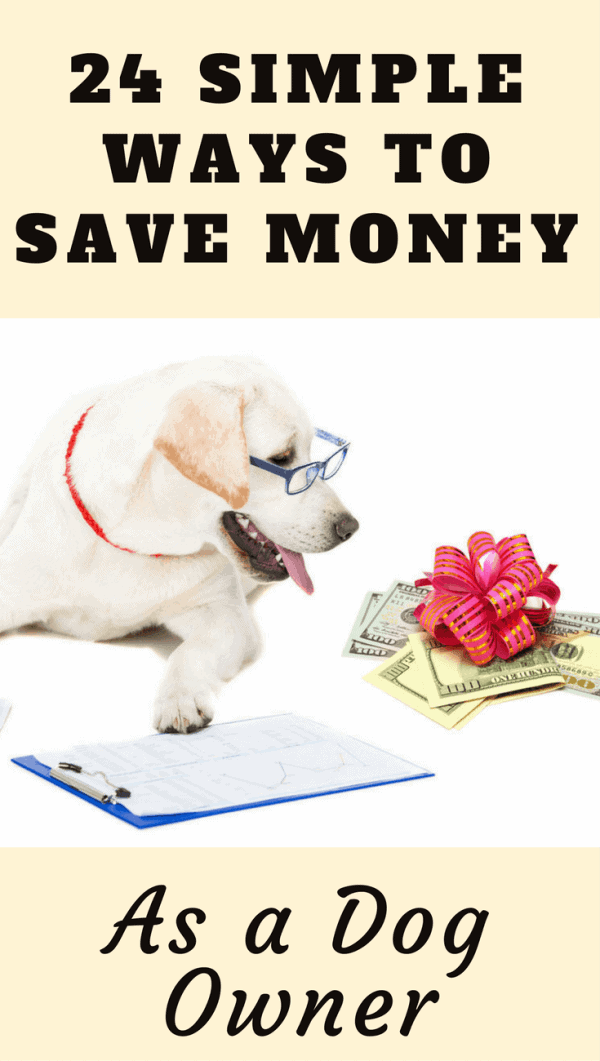 Owning pets is expensive. Money well spent, but expensive, So in this article we show you how to save money as a dog owner, keeping more in your wallet.