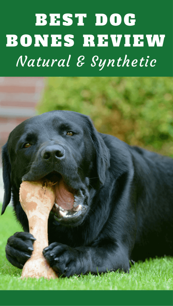 Top 6 Best Dog Bone Reviews 2019 (Buying Advice Chewed Bones for Your Pup)