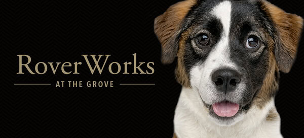 RoverWorks