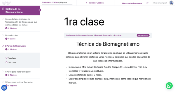 Diplomado de Biomagnetismo - Image 3
