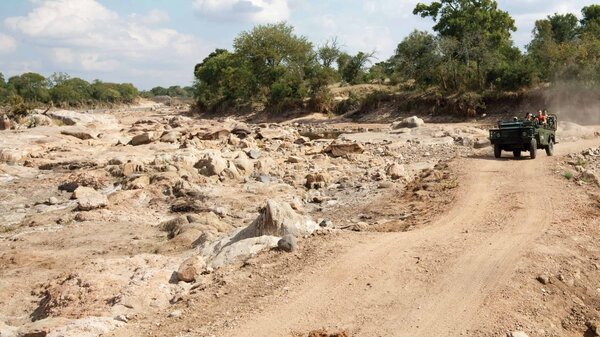 Explore Kruger National Park - Image 2