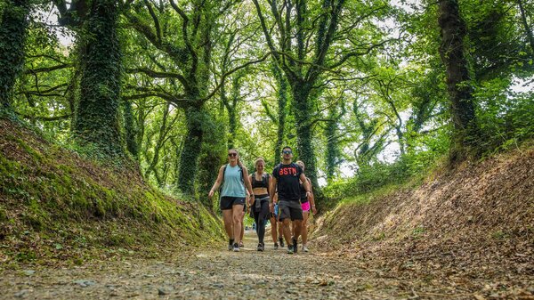 Walk the Camino de Santiago