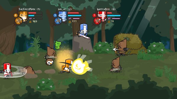 Castle Crashers Castle Crashers
