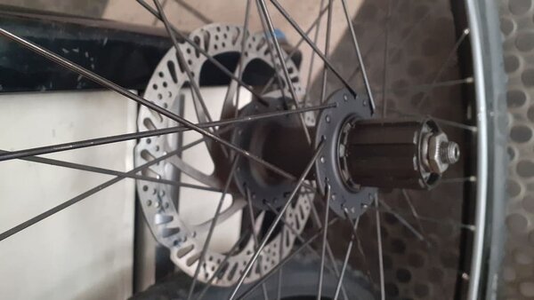 Der 8- bid 11-fach Freilaufkörper und die Bremsscheibe