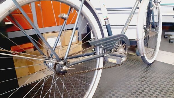 Alte Rücktrittnabe mit Flügelschrauben und original Kettenschutz