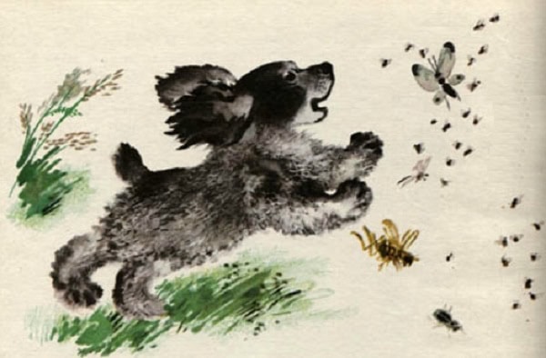 Томка испугался