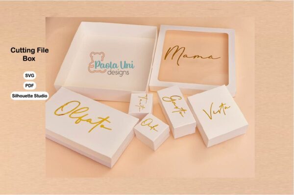 Archivo digital para recortar y armar caja de los 5 sentidos