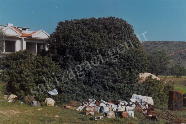 koruma-altinda