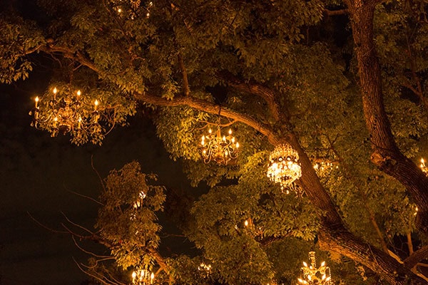 The Chandelier Tree of Silver Lake, Los Angeles